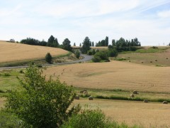 Cavendish Road Idaho