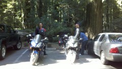 Short day trip to the Avenue of the Giants
