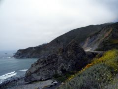 Pacific Coast Highway