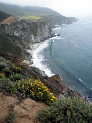 Pacific Coast Highway