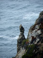 Pacific Coast Highway