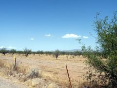 Arivaca, Arizona