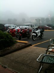 VFR's in the mist 2