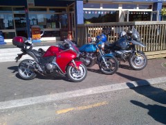 The neighbors bikes out on a run