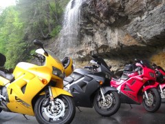 32561 1484762758772 1224974224 1362872 5858621 N