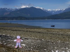 Flat Stanley on Hood Canal