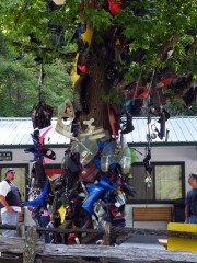 Tree of Shame at Deals Gap