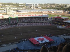 Calgary Stampede