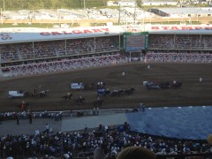 Chuck Wagon Races