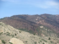 Waldo Canyon Fire Damage just above Glenn Eyre