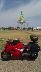 Sunflowers by Van Gogh in Goodland, KS