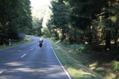 Eifel forrest road