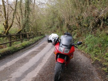 Lost in Exmoor National Park