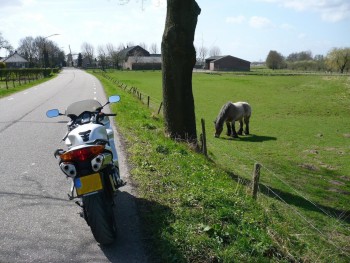 Two different kinds Of horsepower, 18 Apr 2013