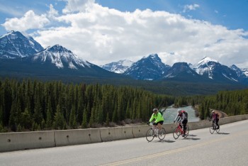 Bow Valley Parkway May 2013