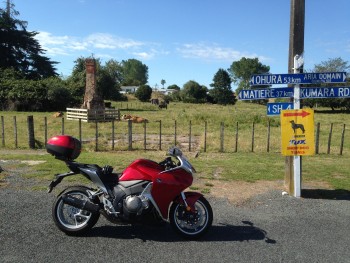 Typical scene Kiwi back roads - local King Country loop.