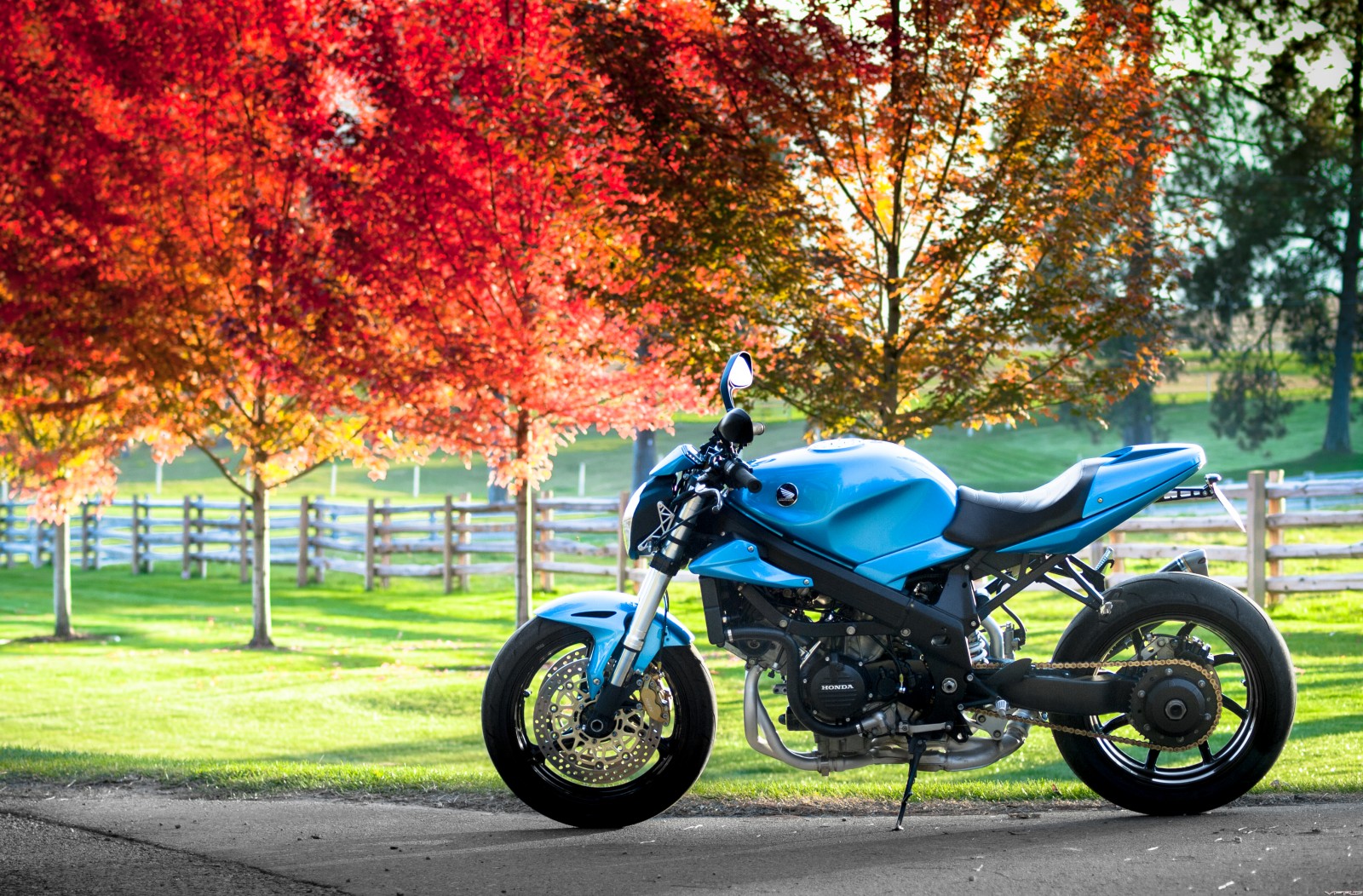 Vfr800 streetfighter discount
