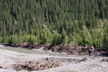 Debris in the Highwood River