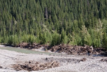 Debris in the Highwood River