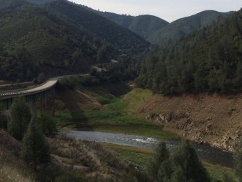 Rt 49 north of Mariposa 04.21.14