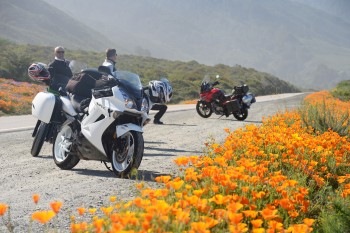 65 - near Lucia on the PCH