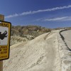 37 - mind the sign Tony - Zabriskie Point, Death Valley