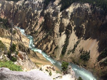 Yellowstone Park canyon