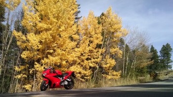 Fall Colors