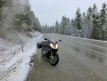 Snowy day on Allison pass in Manning Provincial Park, B.C. Elevation 1342m. and -2°C  (27°F)