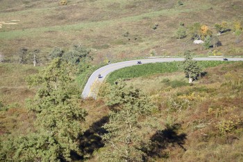 CurvePBRMonday DSC1167