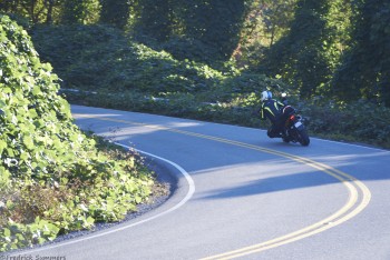 tiger2BDPBRMonday DSC1184