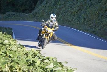 tigerBDPBRMonday DSC1181