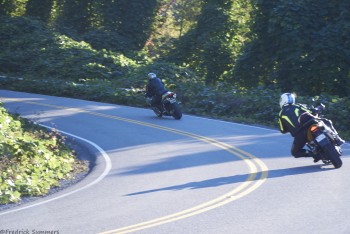 tigervfrBDPBRMonday DSC1183