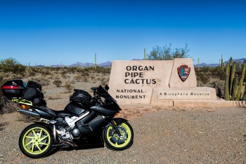 Organ Pipe