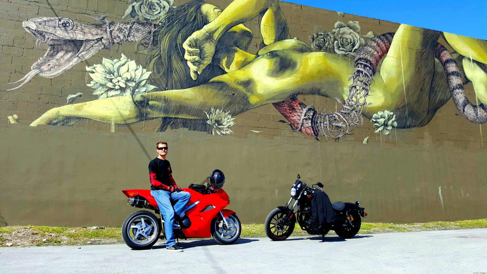 Honda VFR Wynwood Walls snake girl graffiti   Copy