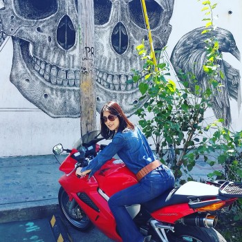 Honda VFR wynwood walls skull graffiti   Copy