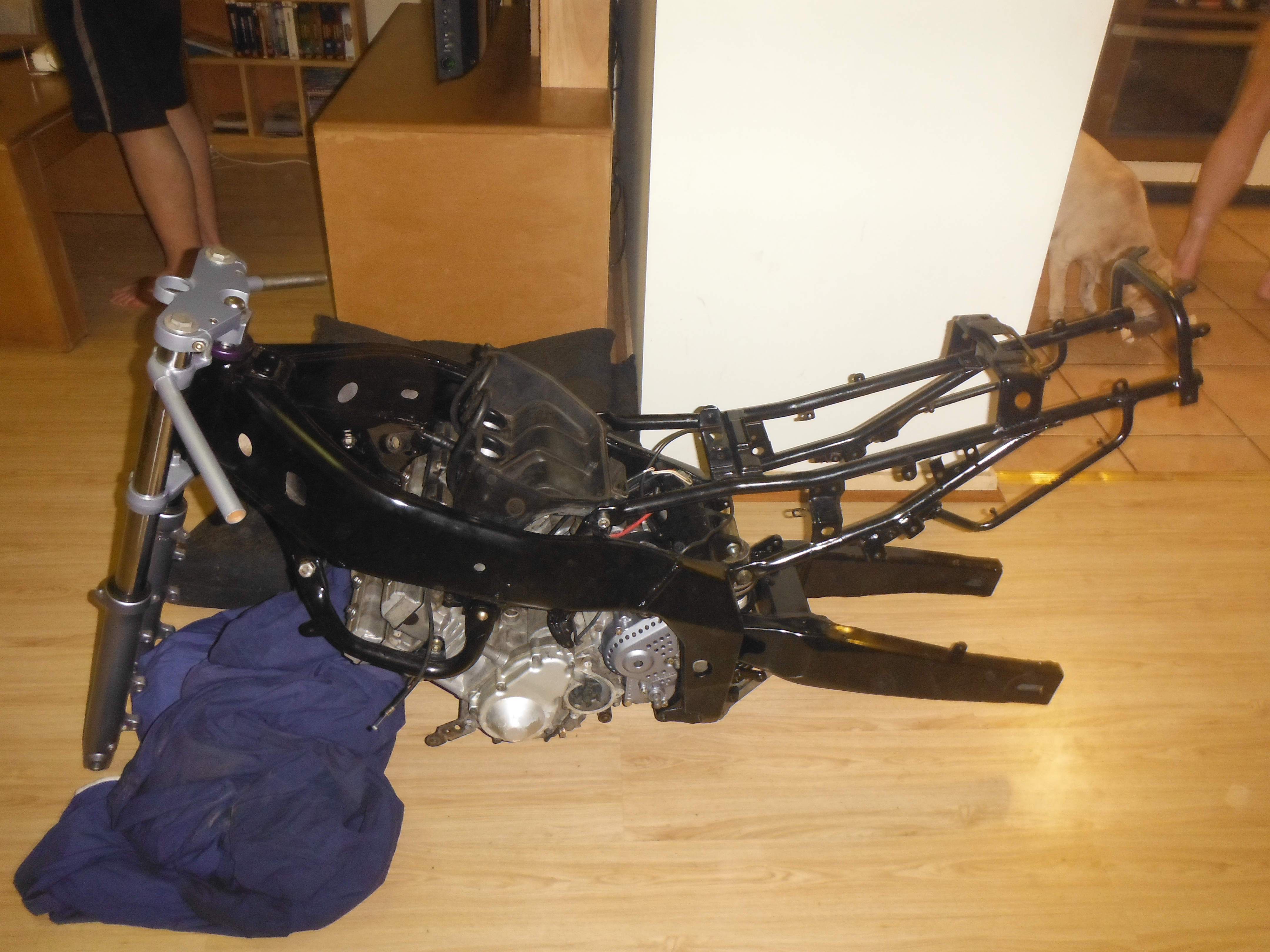 I'm Honda Something Good..... See What I Did, There.....?