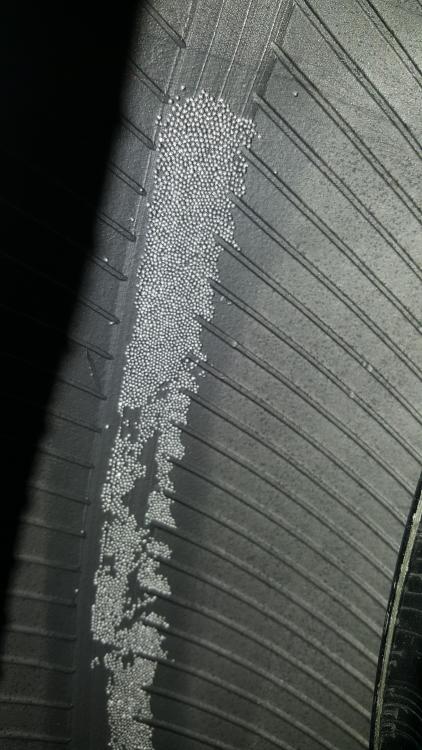 20160522_095845.jpg