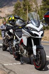 Duc