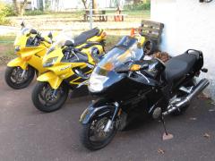 My Hondas