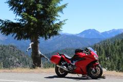 More information about "Scott Mt. Northern California"