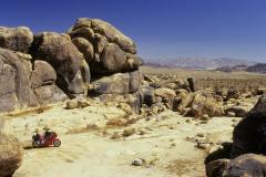 More information about "near Joshua Tree NM"