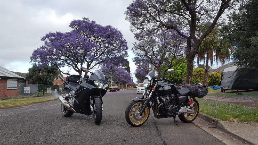 VFR & CB Jacarandas.jpg