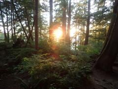 Cape Flattery Trailhead