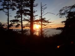 Cape Flattery Trail