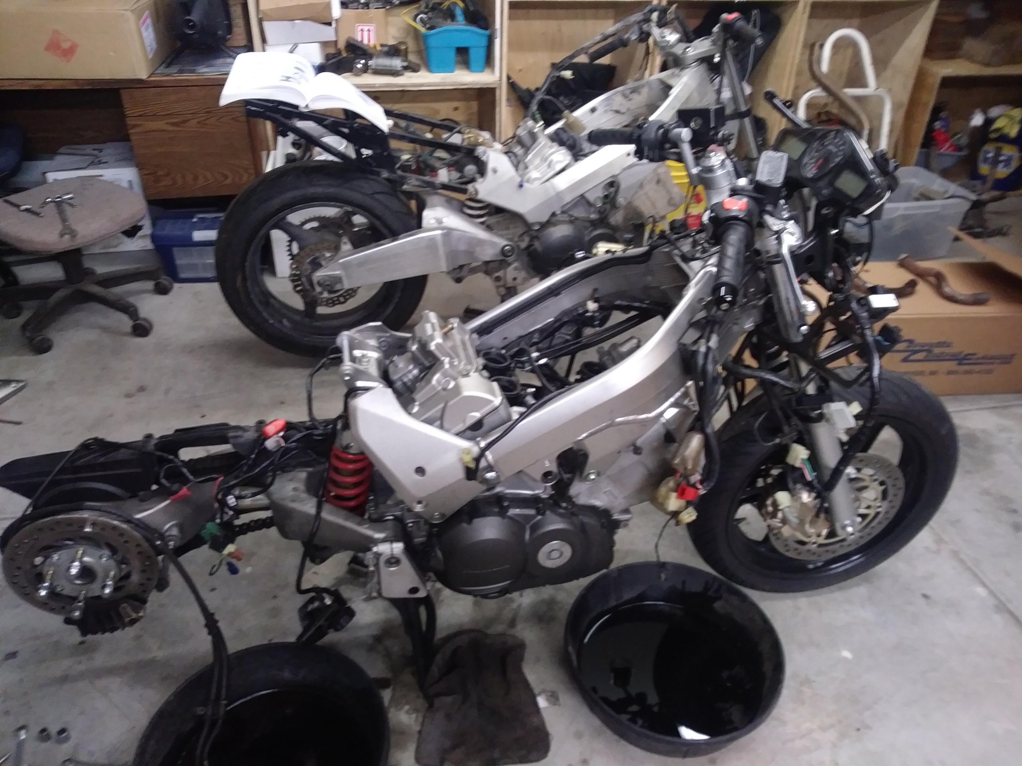 Bikers oracle vfr online
