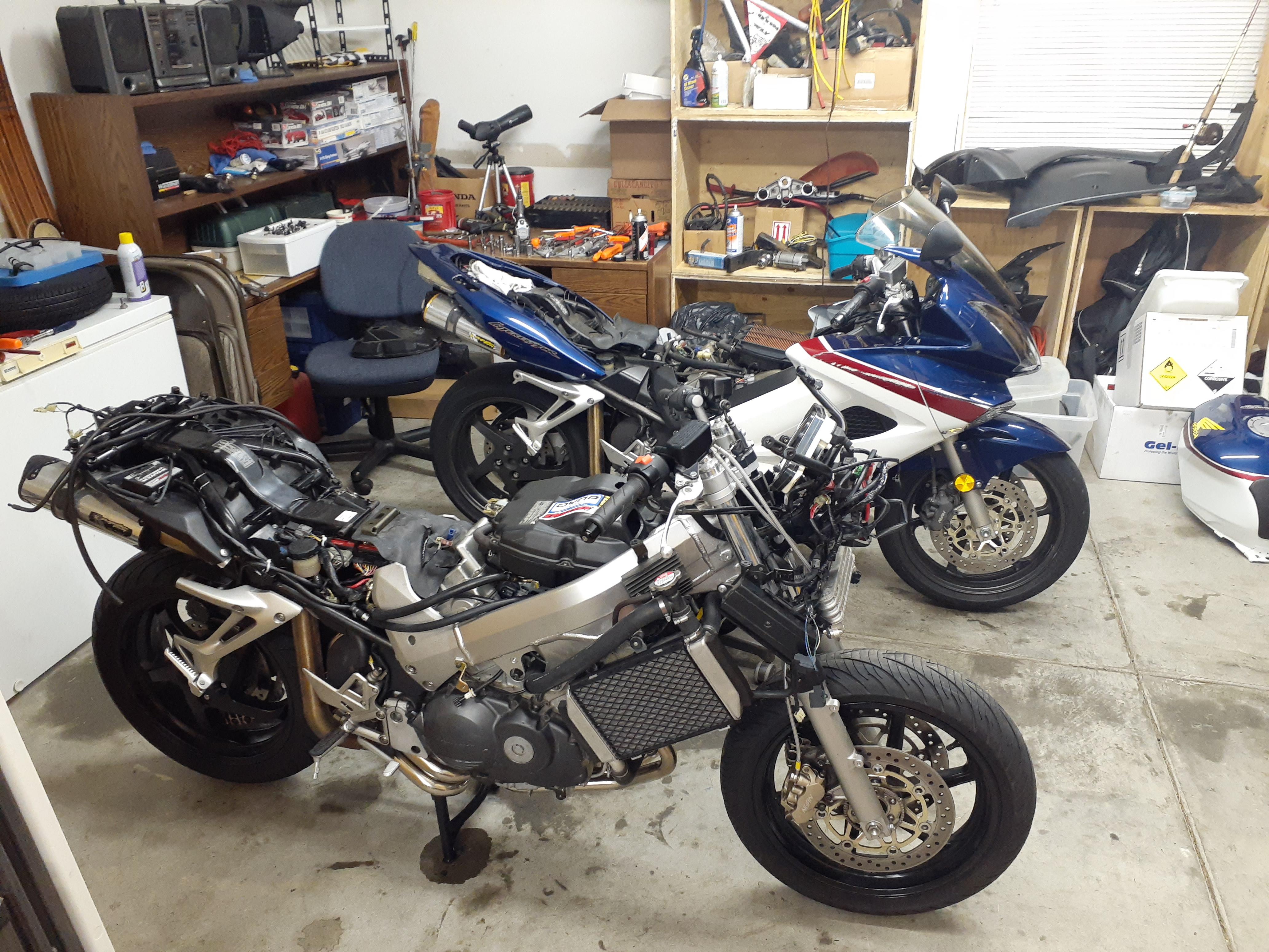 Bikers oracle vfr online
