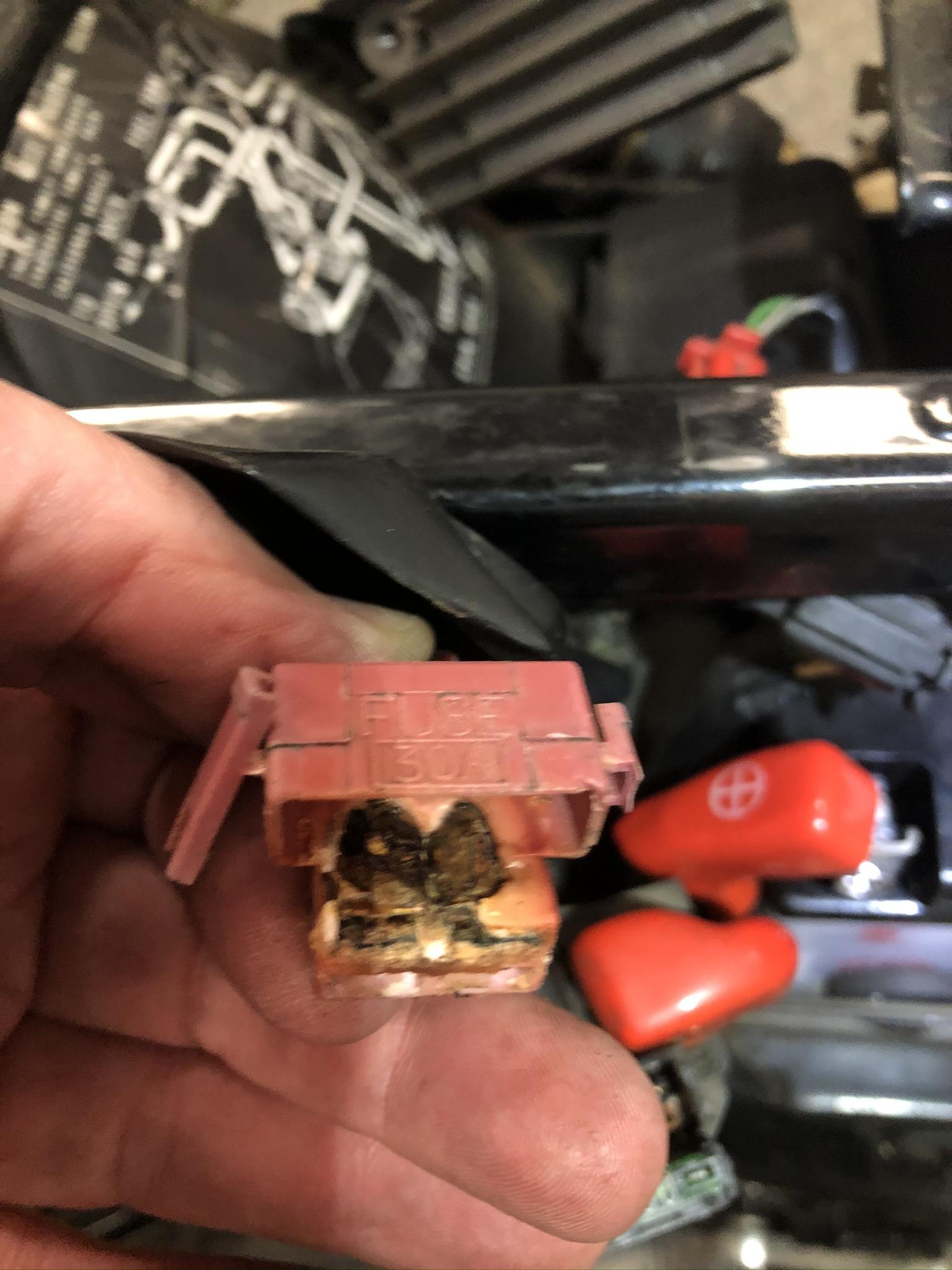 Melted starter relay wire Sixth Generation VFR's VFRDiscussion