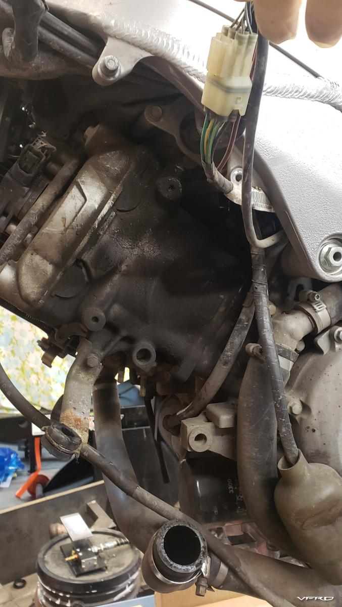 large.20211212_095642.jpg.0acda931ec41df