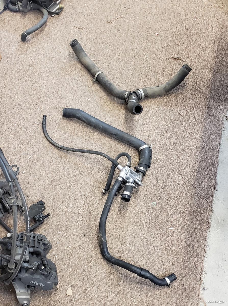 large.20211231_140943.jpg.6c1bebf7634281